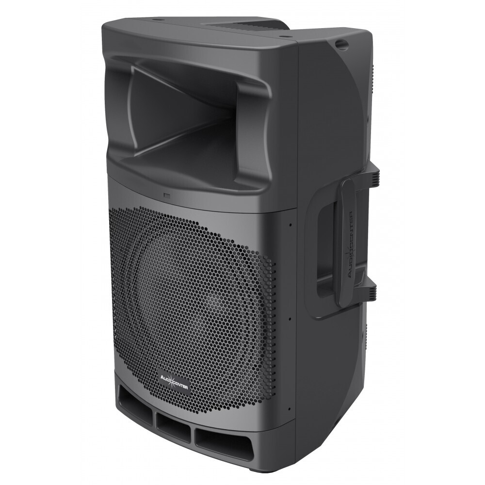 Audiocenter MA12 активная акустическая система в Усолье-Сибирском