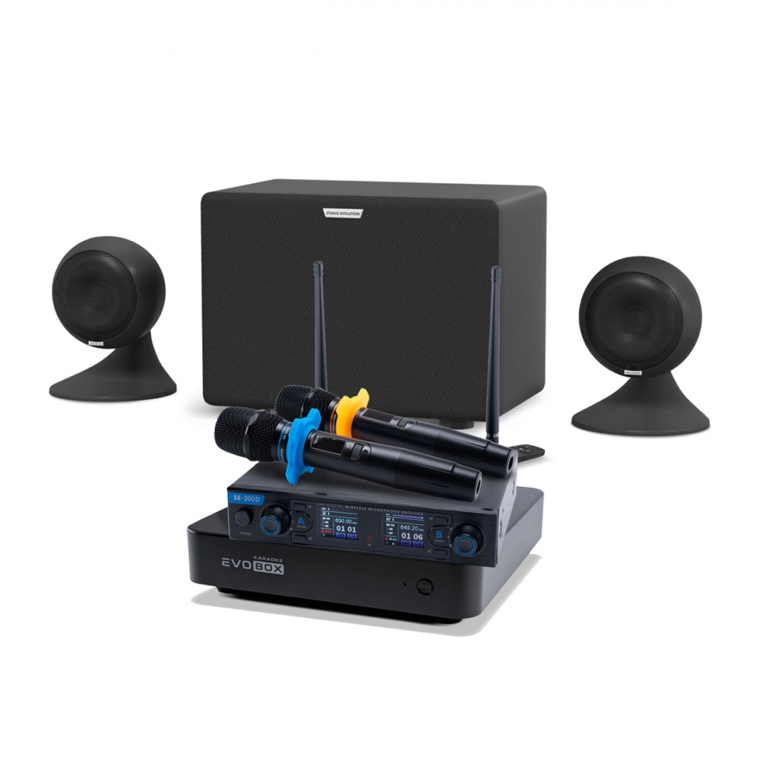 караоке-комплект EVOBOX + EvoSound Sphere 2.1 в Усолье-Сибирском