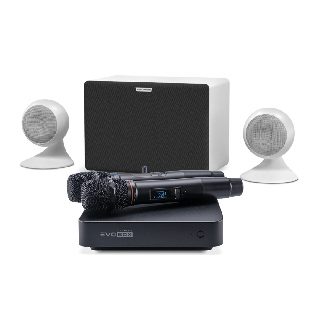 караоке-комплект EVOBOX Classic + EvoSound Sphere 2.1 в Усолье-Сибирском