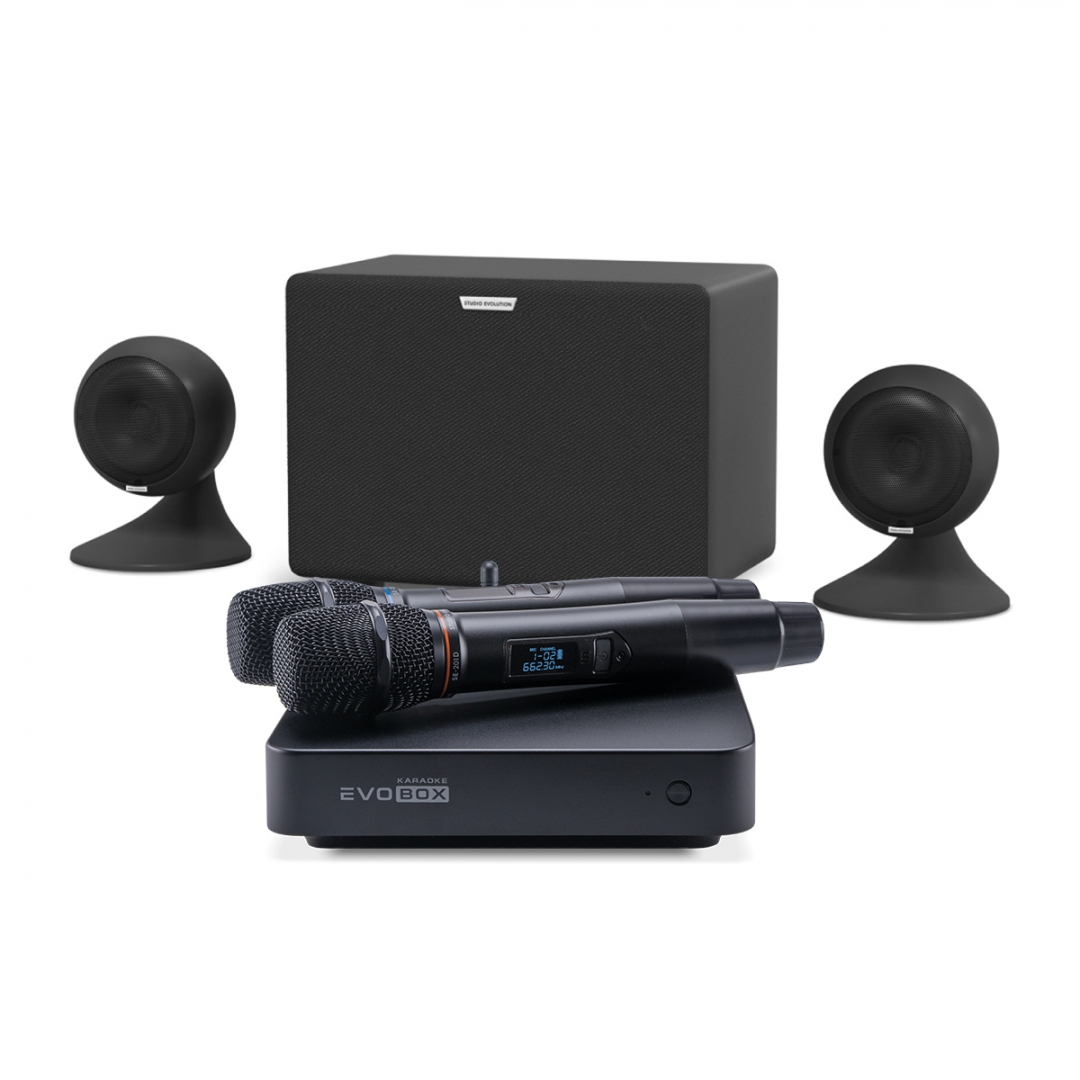 караоке-комплект EVOBOX Plus + EvoSound Sphere 2.1 в Усолье-Сибирском