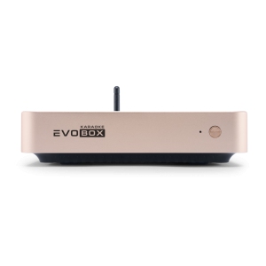 EVOBOX Classic караоке-система для дома в Усолье-Сибирском