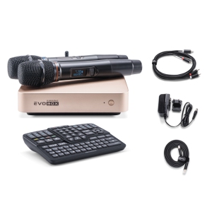 EVOBOX Classic караоке-система для дома в Усолье-Сибирском