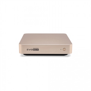 EVOBOX с микрофонами в Усолье-Сибирском